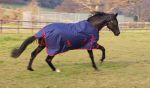 Rhinegold Dottie Torrent Lightweight Outdoor Rug Foal/ tiny ponies
