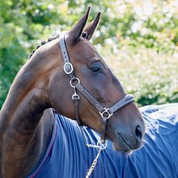 Chicago Leather Headcollar